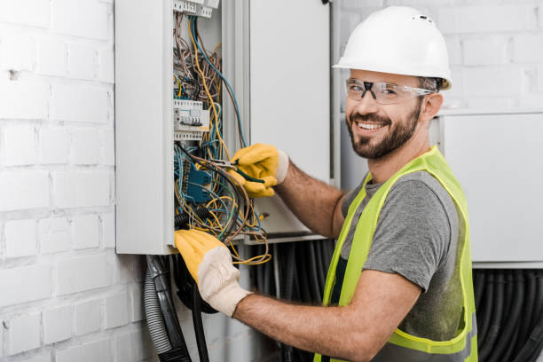 Best Electrical Troubleshooting Services  in Llington, MI