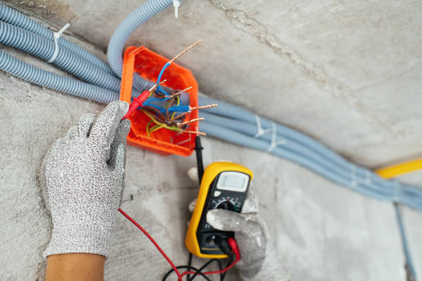 Best Electrical Repair Services  in Llington, MI
